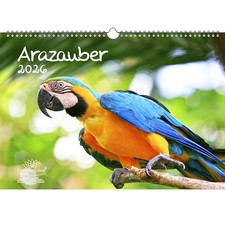 Arazauber DIN A3 Kalender für 2026 Ara Papageien - Seelenzauber