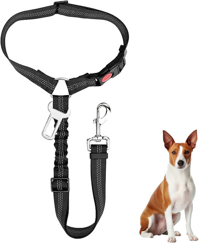 Hundegurt fürs auto - fürs,