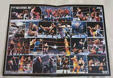 WWE Wrestlemania 20 Madison