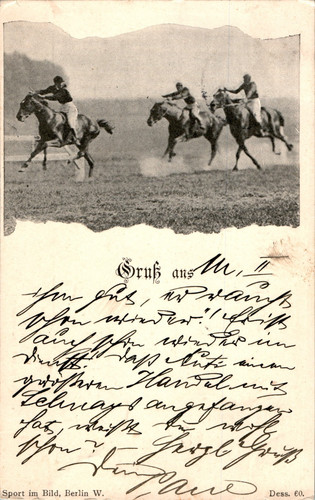 Sport pferde rennen - pferde,