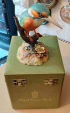 Royal crown derby - derby, kingfisher