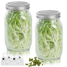 Sprossenglas Keimglas Anzucht