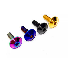 Titanschrauben Linsenkopf Gold