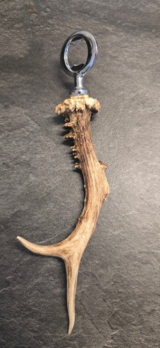 Flaschenöffner rehbock geweih - flaschenöffner,