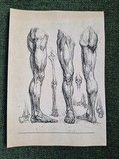 DachbodenFund/ /Sammeln/