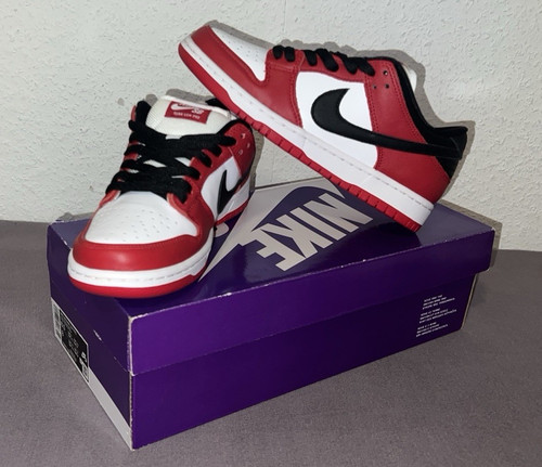 Nike dunk low - pro, herren
