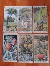 Stollwerck Sammelbilder, Album