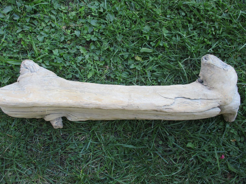 Schwemmholz treibholz - schwemmholz,