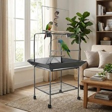 Vogelspielplatz Wellensittich