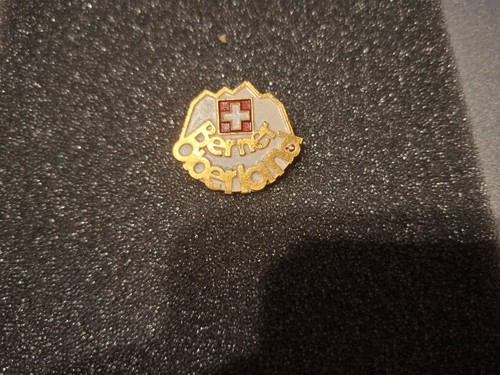 Pin hutnadel wandernadel - pin,