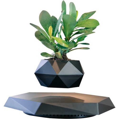 Levitation air bonsai topf - levitation,