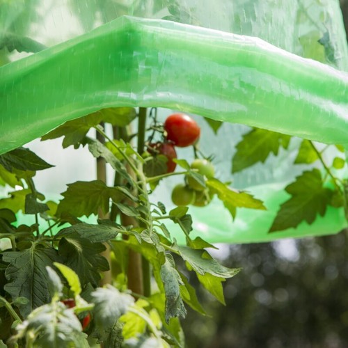 Windhager tomaten - windhager,