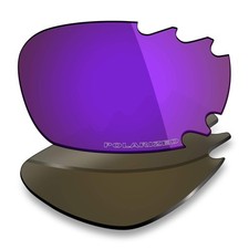 + Polarisierte Ersatzgläser