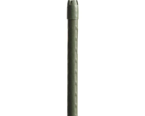 Pflanzstab floraself 180 cm - pflanzstab,