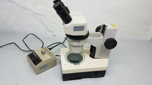 Stereo mikroskop olympus - stereo,