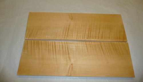 Riegelahornholz decke boden - riegelahornholz, decke/
