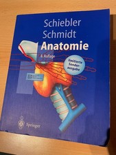 Anatomie Schieber Schmidt 8
