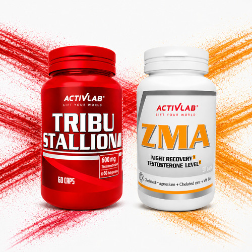 Tribu stallion zma - stallion,