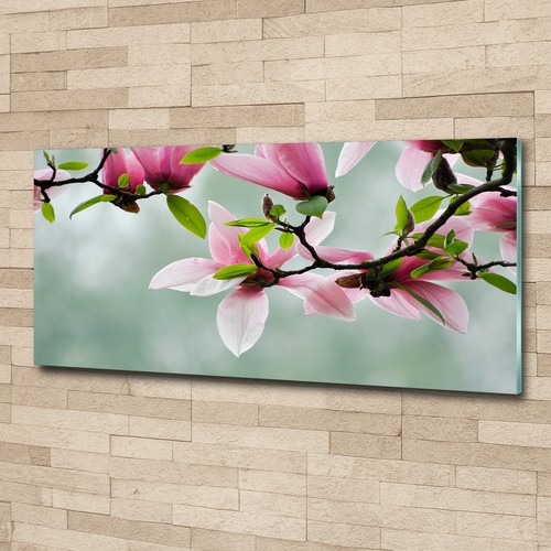 Glas bild wandbilder druck auf - glas-bild,