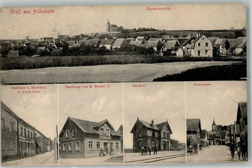 13657486 6521 hillesheim - 13657486,