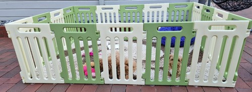 Welpenlaufstall hundegehege - /,