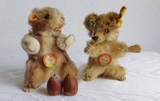 Steiff Waschbär Raccy mit allen Id´s und Murmeltier Piff beide Bärenkopfschild