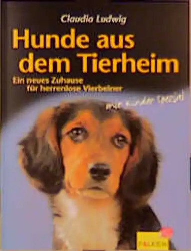Hunde aus dem - , tierheim