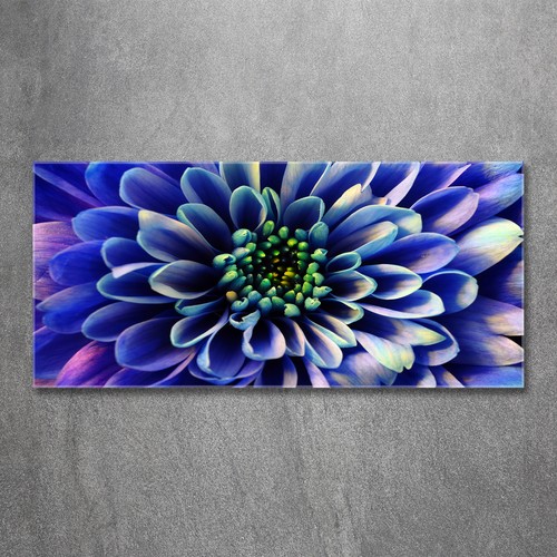 Glas bild wandbilder druck - glas-bild,