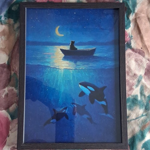 Wandbild gerahmt katze boot - gerahmt,