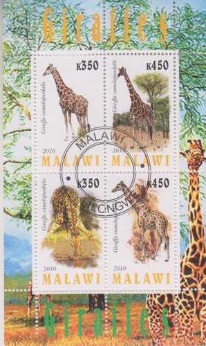Giraffen malawi gestempelt - malawi,
