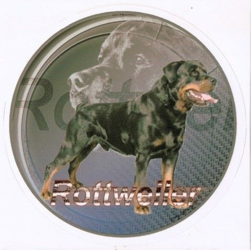 Aufkleber motiv rottweiler - motiv,