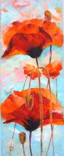 Mohnblumen Blumen Original