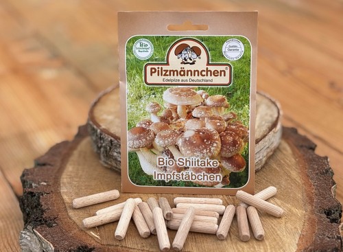 Shiitake impfstäbchen 20 - impfstäbchen, (20