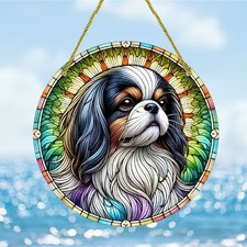 King Charles Spaniel