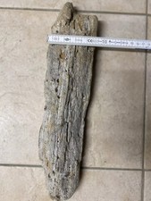 Treibholz Schwemmholz