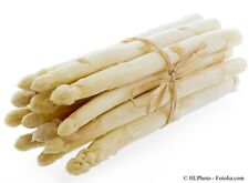 ? ? Spargel weiß 20 Samen gesunde Delikatesse * Gemüse Kultur für 10-20 Jahre