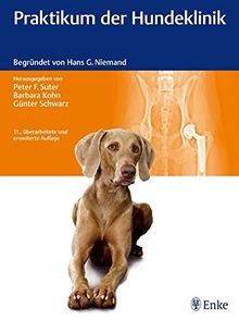 Praktikum der hundeklinik - praktikum,
