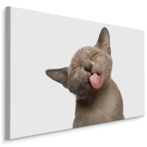 Canvas leinwand bilder - leinwand,