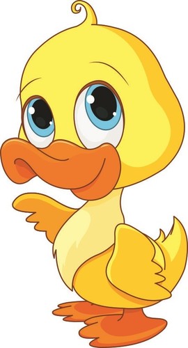 Aufkleber baby ente duck - baby,