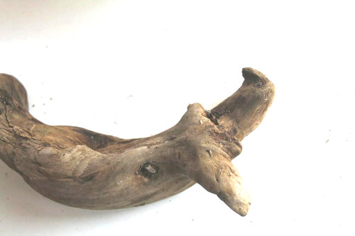 Schwemmholz treibholz skulptur - schwemmholz,