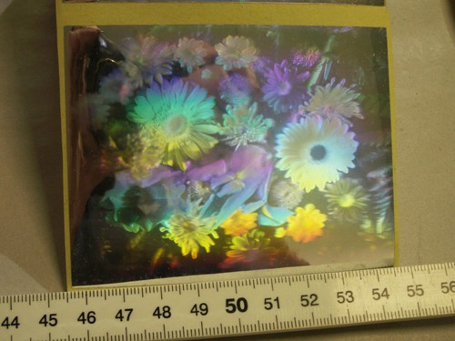 Hologramm viele blumen - 1,