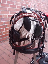 1-spänner Brustblattgeschirr