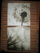 Zwei Leinwandbilder Motiv Pusteblume mit LED-Beleuchtung 60x60 cm