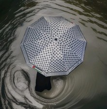 Regenschirm mit Palästina