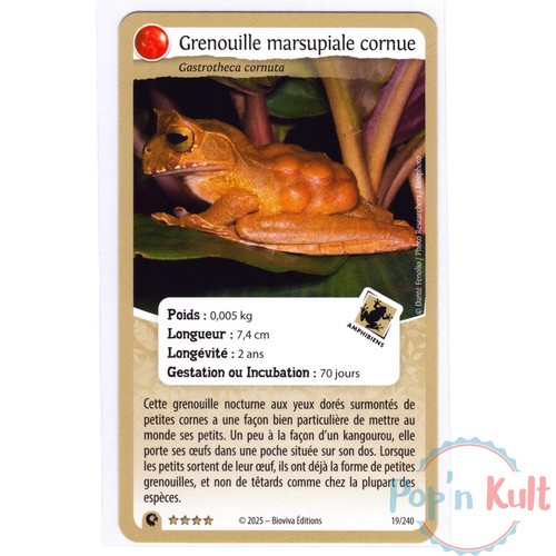 Nature protect challenges - challenges, card
