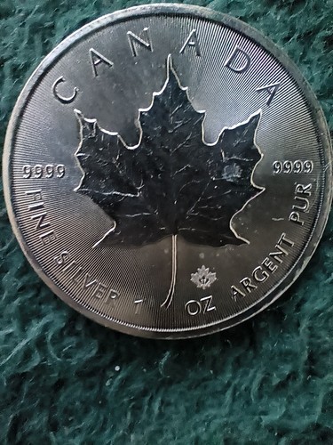 Kanada maple leaf 2017 - maple, 1