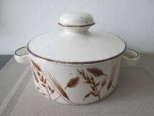 Midwinter Stonehenge Wild Oats