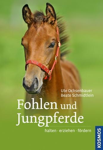 Fohlen und jungpferde halten - fohlen,