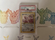 Pokémon Pokemon Koga Ditto