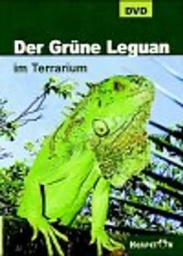 Der grüne leguan terrarium - der,